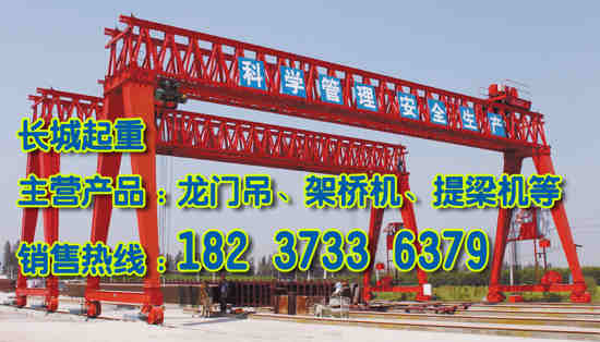 湖北荊門門式起重機廠家
