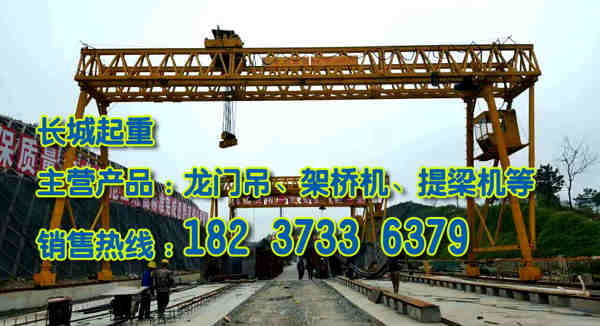 海南海口門式起重機公司