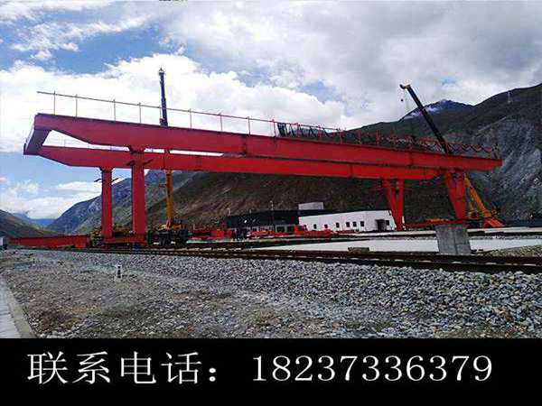 湖北隨州龍門吊出租公司為您提供龍門吊型號(hào)大